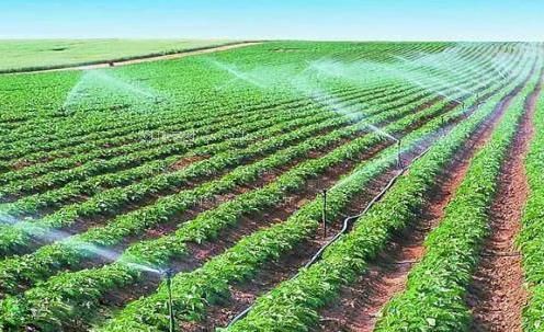 能看艹逼的视频农田高 效节水灌溉